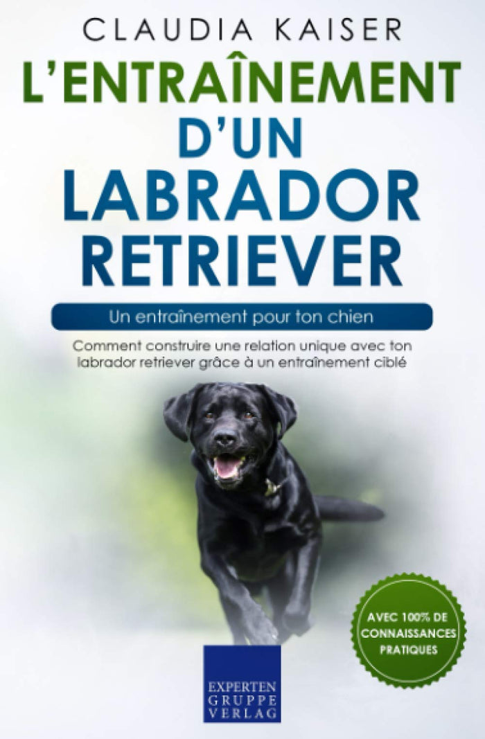 L’entraînement d’un labrador retriever – un entraînement pour ton chien: Comment construire une relation unique avec ton labrador retriever grâce à un entraînement ciblé