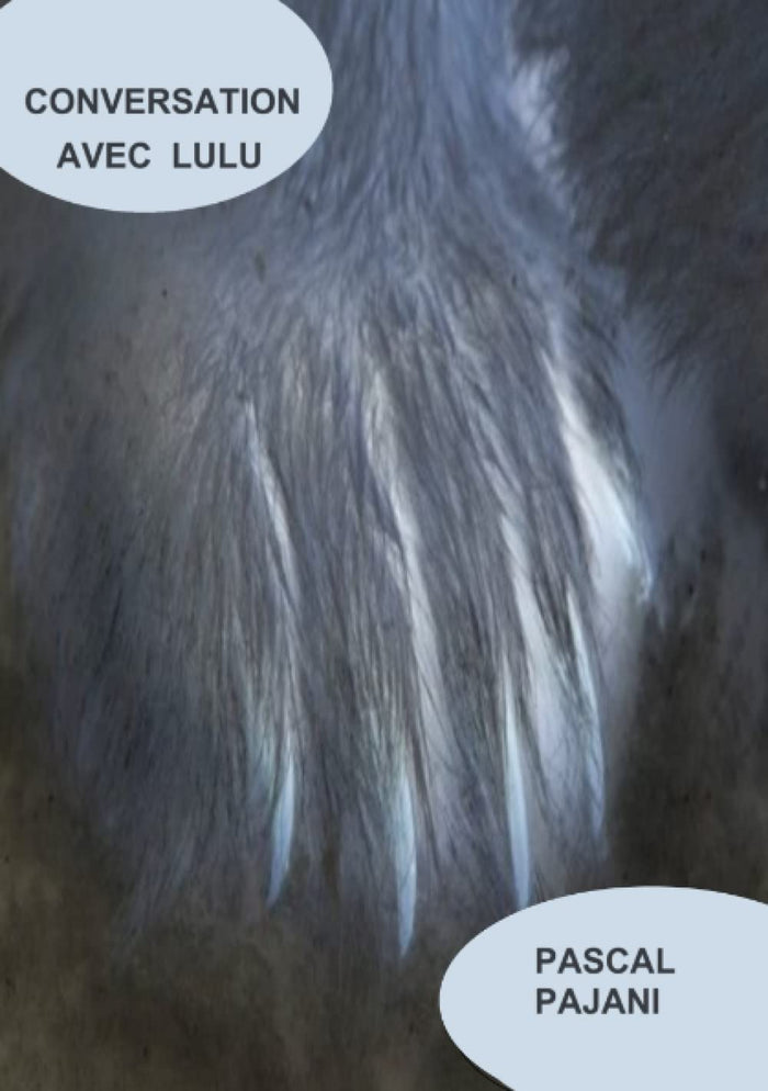 Conversation avec Lulu