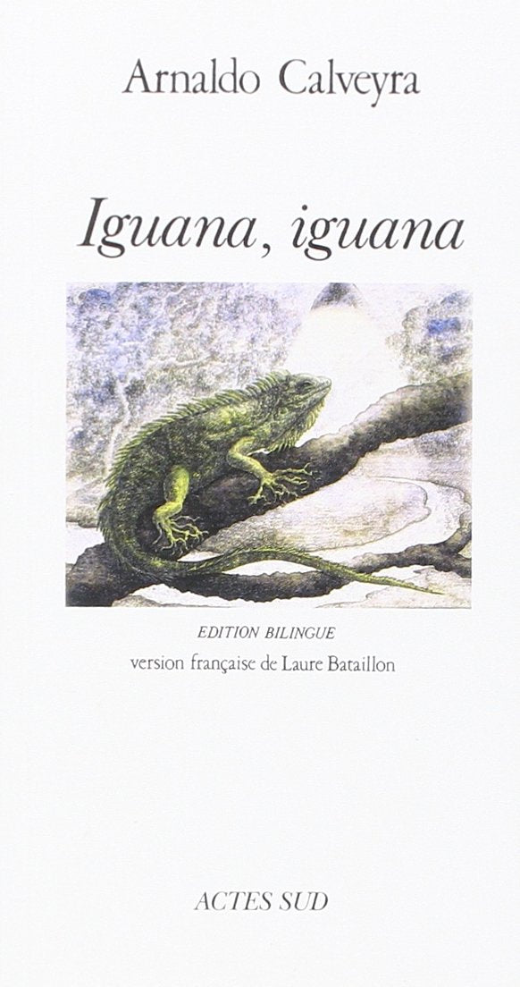Iguana Iguana