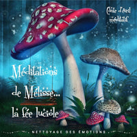 Méditations de Mélisse, la fée luciole: Tome 1, Nettoyage des émotions