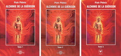 L'Alchimie de la guérison, tome 1