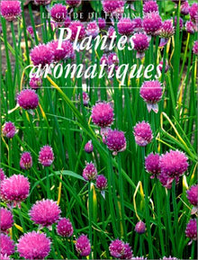 Plantes aromatiques