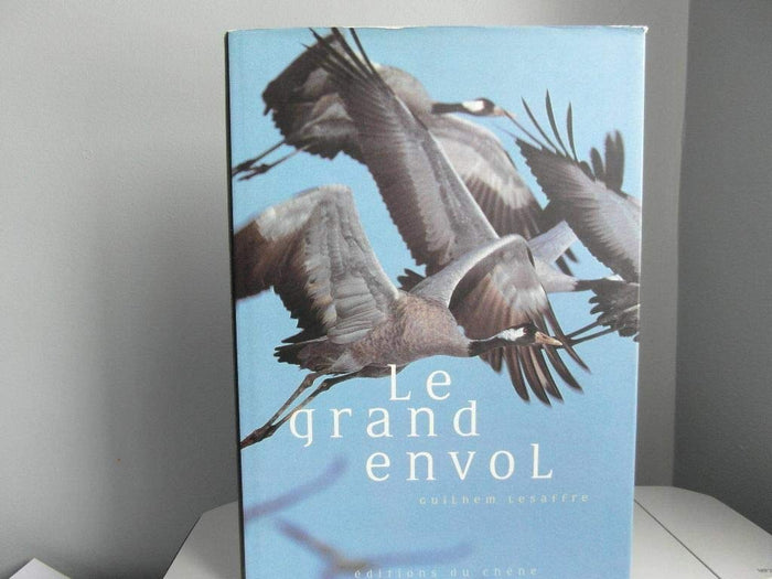 Le Grand Envol