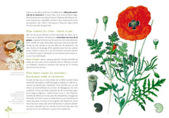 Se soigner avec les plantes