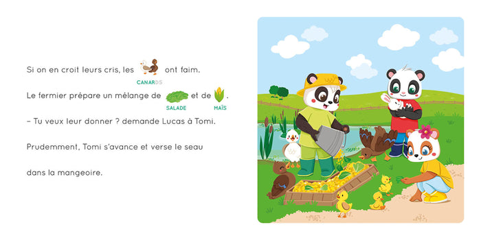 L'École des pandas - Une journée à la ferme