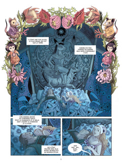 La princesse peau d'âne