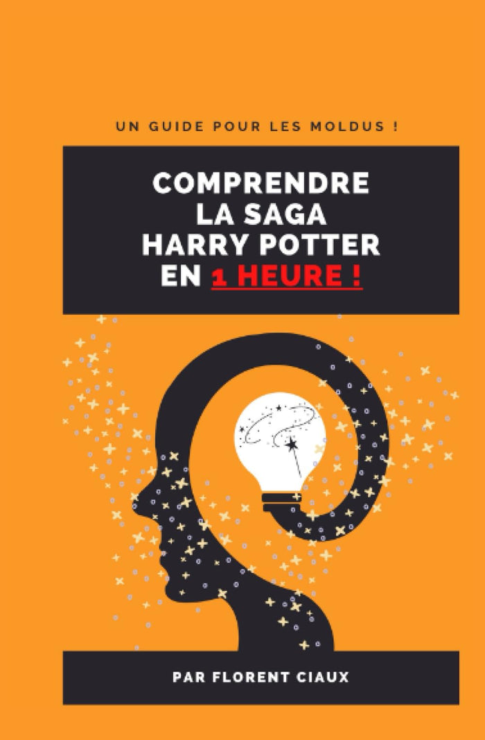 Comprendre la saga Harry Potter en 1 heure !: Un guide pour les moldus !