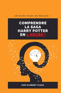 Comprendre la saga Harry Potter en 1 heure !: Un guide pour les moldus !