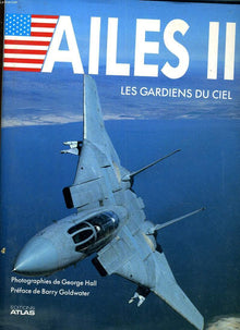 Les Gardiens du ciel