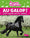 Au galop