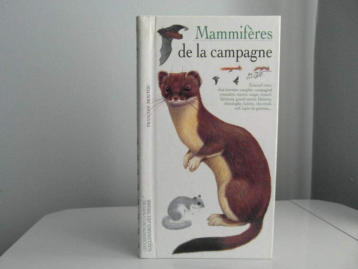 Mammifères de la campagne