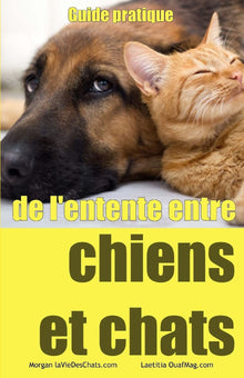 Guide pratique de l'entente entre chiens et chats