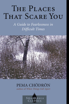 The Places that Scare You: A Guide to Fearlessness in Difficult Times