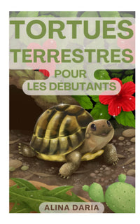Tortues terrestres pour les débutants