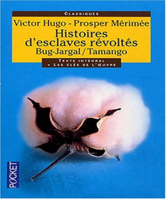 HISTOIRES ESCLAVES REVOLTES