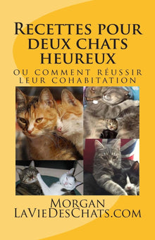Recettes pour deux chats heureux: ou comment réussir leur cohabitation