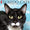 Just Tuxedo Cats 2021 Calendar