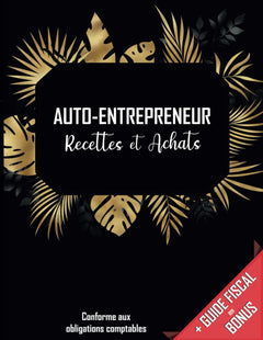 Livre de compte recette dépense