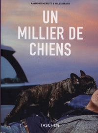 Un millier de chiens