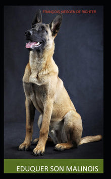 Éduquer son malinois