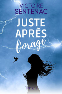 Juste après l'orage: Une magnifique histoire de résilience