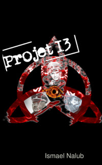 Projet 13