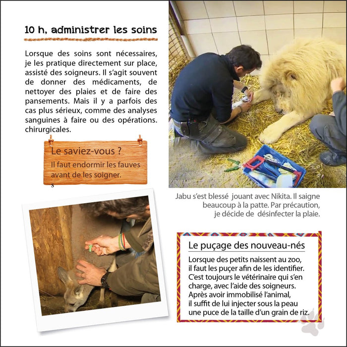Une saison au zoo - Au quotidien avec soigneurs et vétérinaire