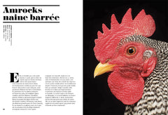 Poules de luxe