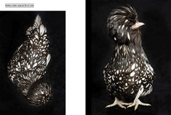 Poules de luxe