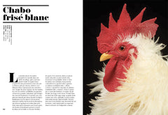 Poules de luxe