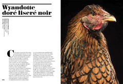 Poules de luxe