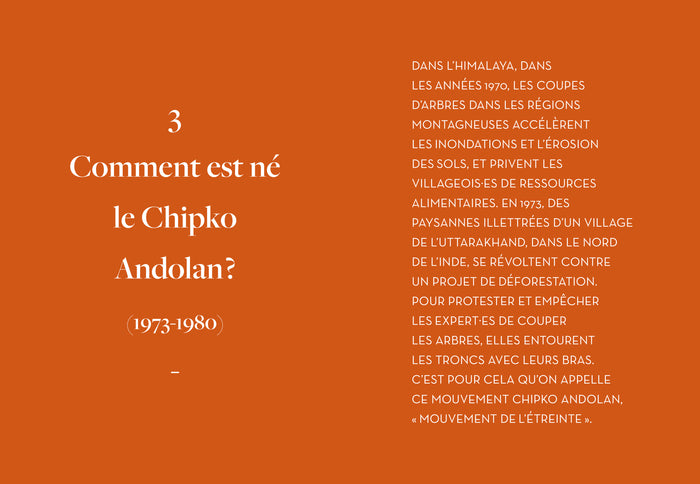 L'écoféminisme en questions