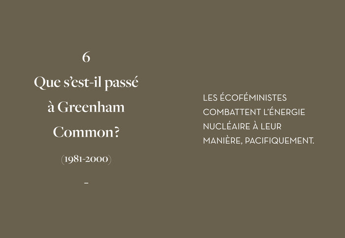 L'écoféminisme en questions