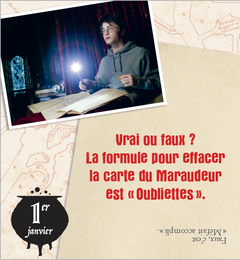 Mini calendrier - 365 jours avec Harry Potter