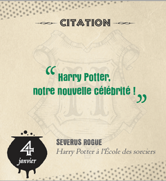 Mini calendrier - 365 jours avec Harry Potter