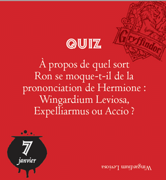 Mini calendrier - 365 jours avec Harry Potter