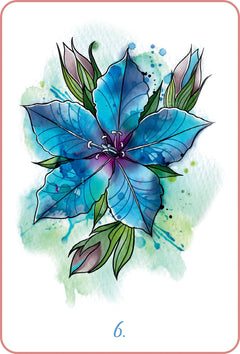 Mon oracle des fleurs de Bach