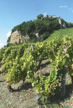 Alsace et Franche-Comté