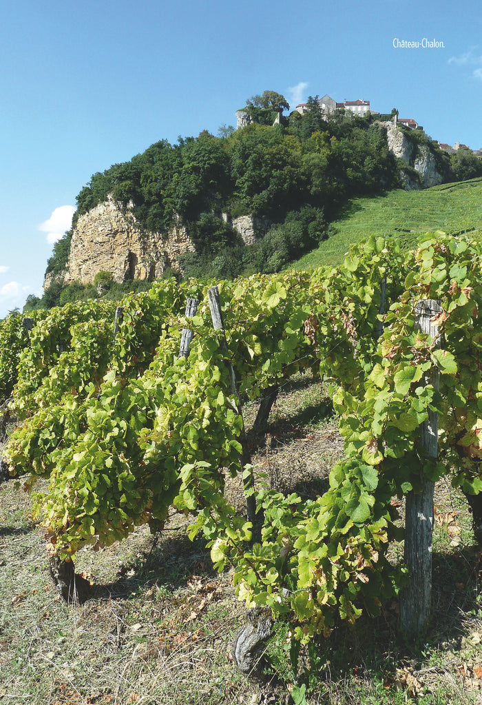 Alsace et Franche-Comté