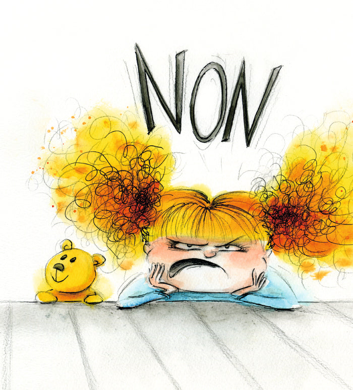 Le petit livre qui dit non !