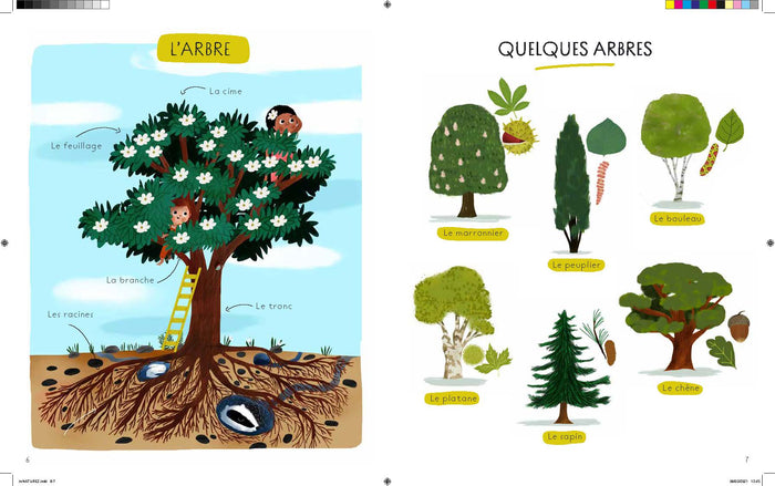 Mon Larousse illustré - La nature