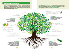 200 exercices pour enrichir son vocabulaire