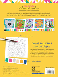 Colos mystères avec des chiffres