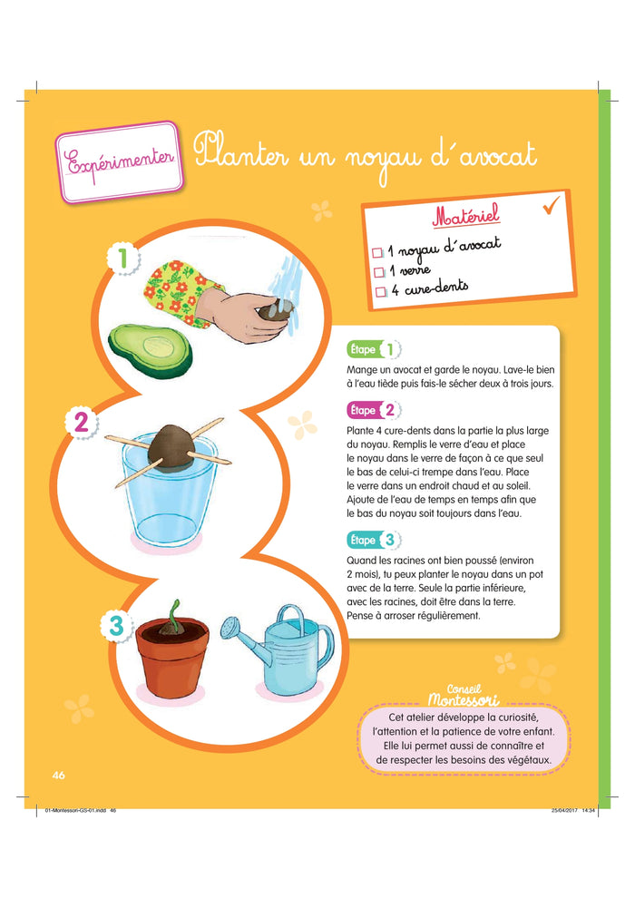 Montessori Mon année de Grande Section