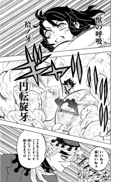 Demon Slayer - Coffret (T17 + Roman N°01)