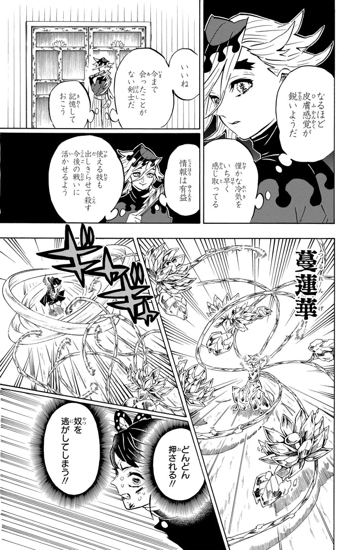 Demon Slayer - Coffret (T17 + Roman N°01)