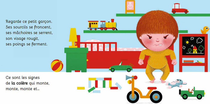 Mes dis pourquoi animés - la colère