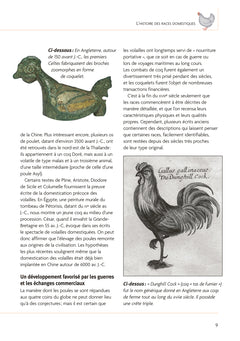 Des poules dans mon jardin