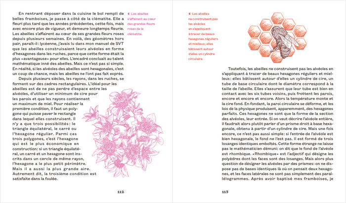 Une mathématicienne au jardin