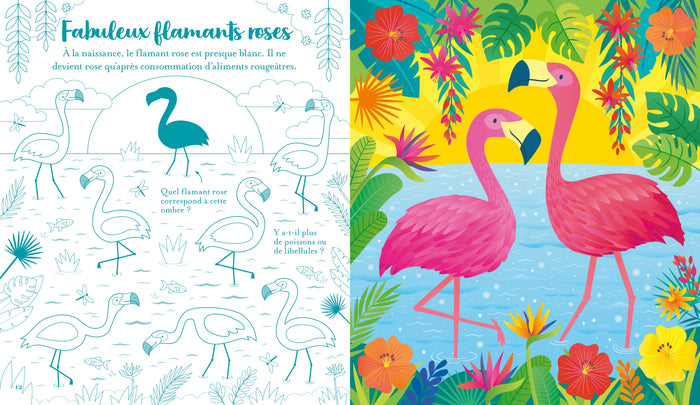 Les animaux - Mon livre à gratter - Dès 6 ans